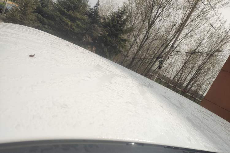 Used CHANGAN NEVO Lumin 2023 205km Xiangqin Version Roof