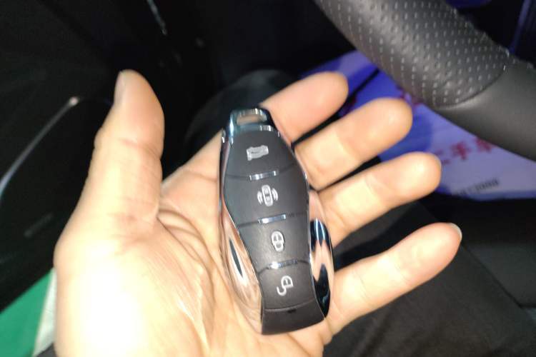 Used Hongqi HS5 2023 2.0T Four-Wheel Drive Flagship Pro Edition