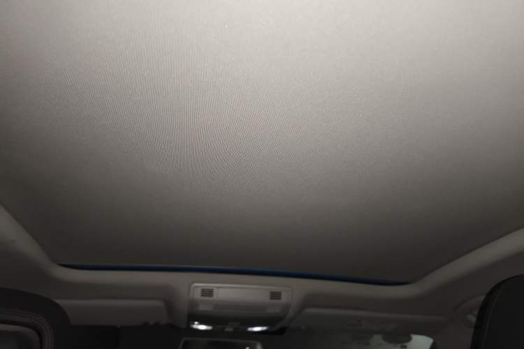 Used Volkswagen Magotan 2018 330TSI DSG Advanced Model Headliner