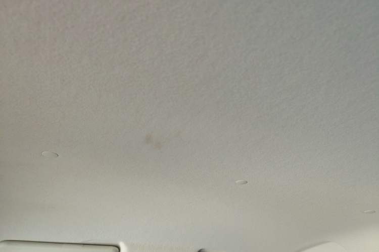 Used CHANGAN Benni E-Star 2021 National Edition Xin Yue Version Lithium Iron Phosphate (31.18 kWh) Headliner