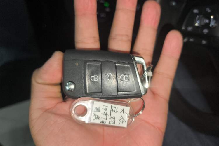 Used Volkswagen Tiguan L 2019 330TSI Automatic Two-Wheel Drive Smart Luxury Version China V Emission Standard
