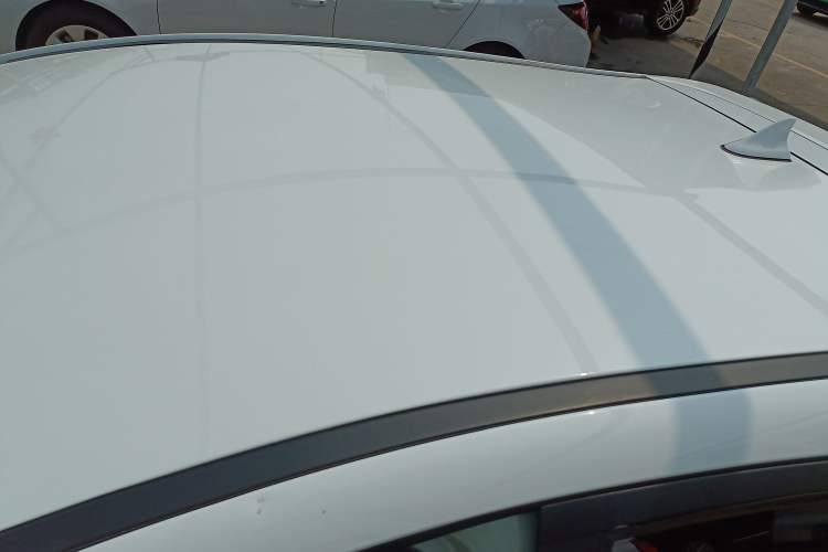 Used SOL E10X 2022 Flower Fairy Design Four-Leaf Clover