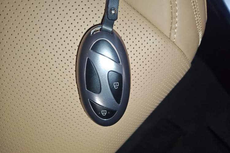 Used Hyundai Santa Fe 2024 2.0T Connoisseur Pro Max
