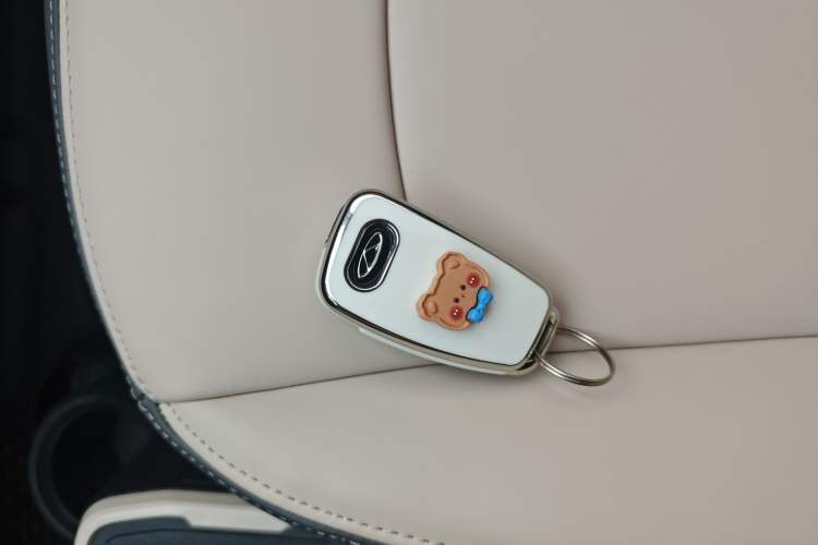 Used Chery QQ Ice Cream 2024 Edition Youth Version 205km Sundae Vehicle Key