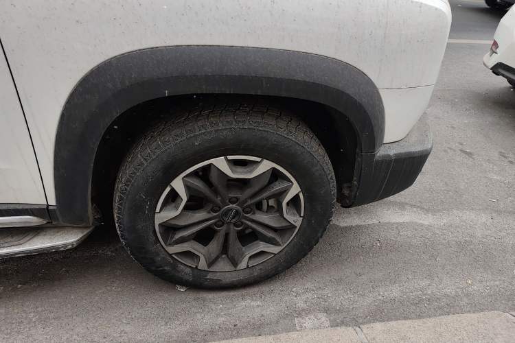 Used Haval DARGO 2022 2.0T DCT 4x4 Chinese Rural Dog Edition
