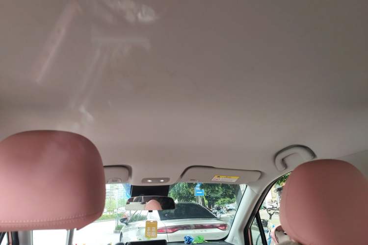 Used NETA V 2021 Witch Edition