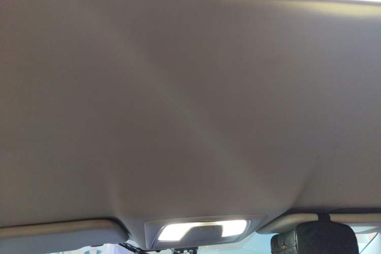 Used Venucia Venucia D60EV 2022 Standard Range T3