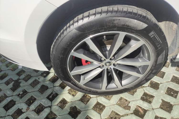 Used Jaguar F-PACE 2024 P250 R-Dynamic SE Exterior 5