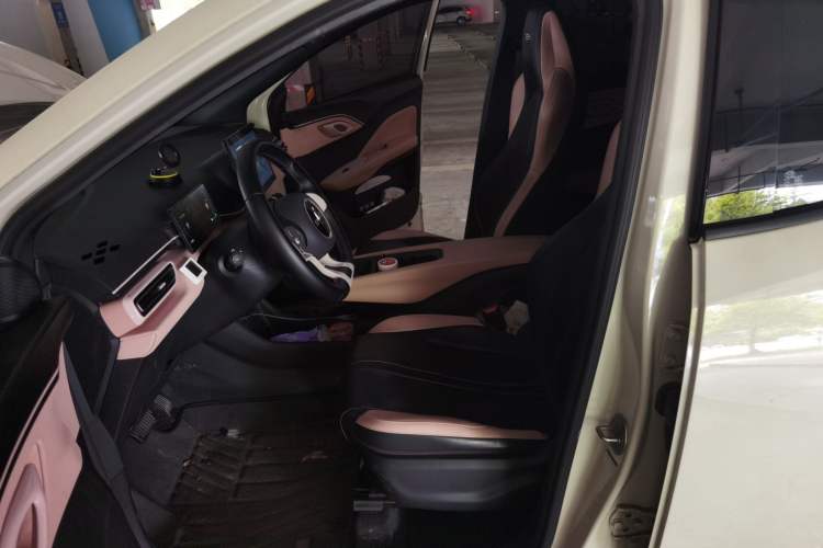 Used BYD Seagull 2023 Free Edition Left Front Seat