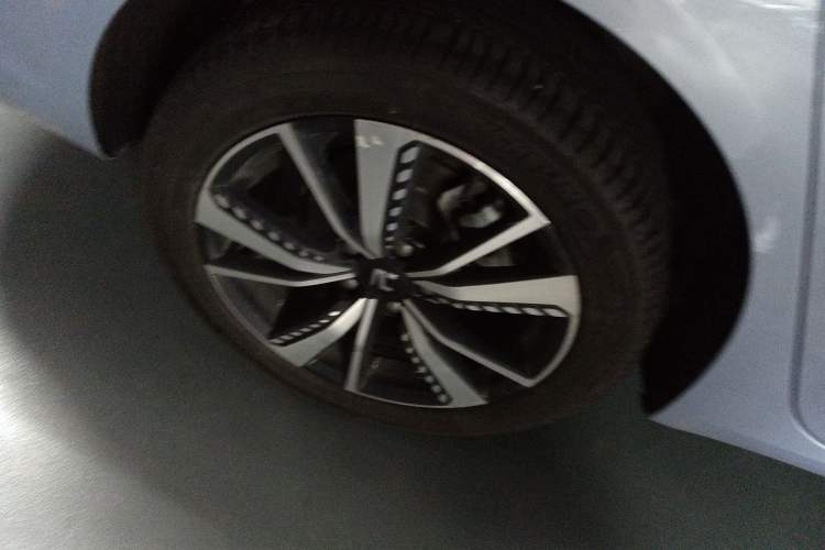 Used Rising ER6 2021 New Dynamic Edition 620km Smart Enjoyment Version
