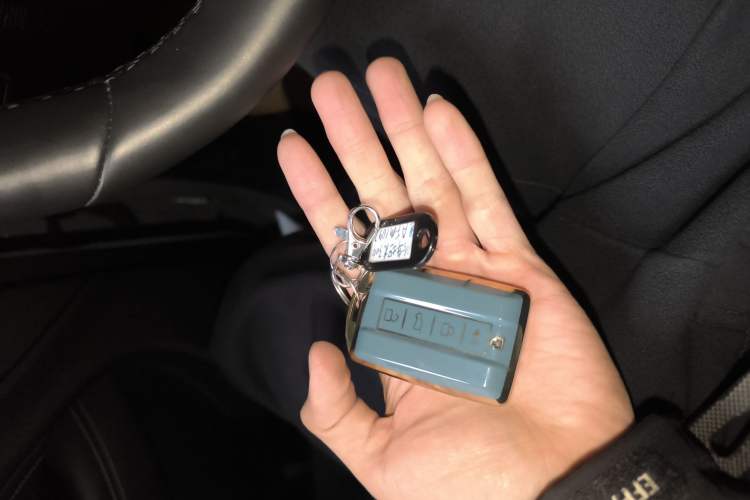 Used Tank 300 New Energy 2025 Hi4-T Vehicle Key