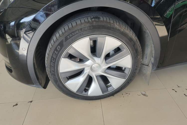 Used Tesla Model Y 2021 Standard Range Rear-Wheel Drive Version
