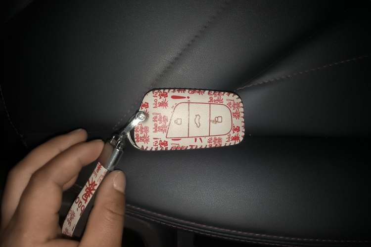 Used Chery QQ Little Ant 2024 251km True Love Edition Vehicle Key