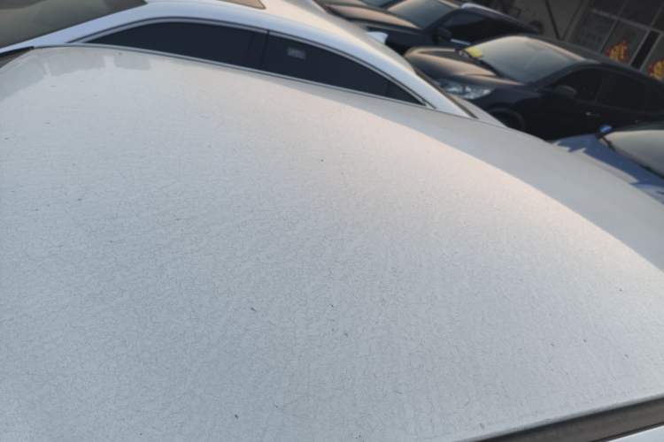 Used Qiyuan Lumin 2024 301km Orange Wind Edition
