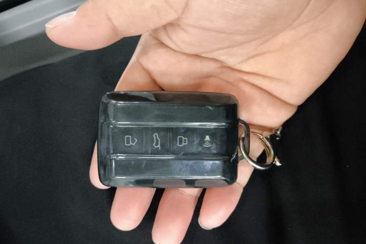 Used Cyberspace Tank 300 2021 2.0T Cyber Tank