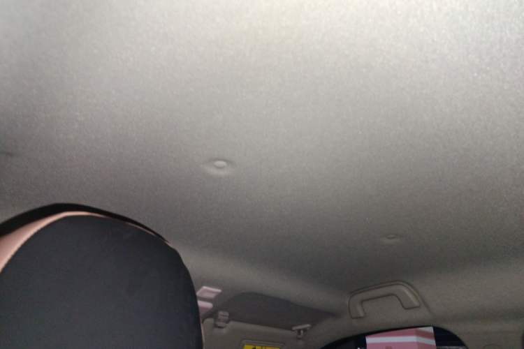 Used ORA Black Cat 2021 301km Cute Pet Edition Headliner