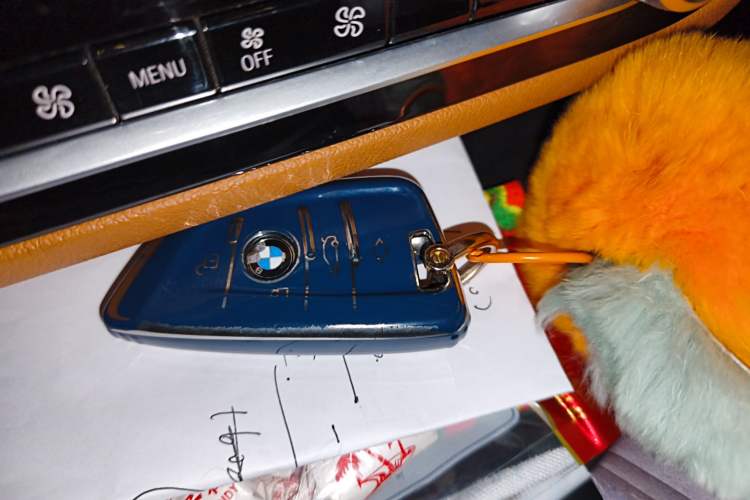 Used BMW 5 Series 2018 528Li Launch Special Edition