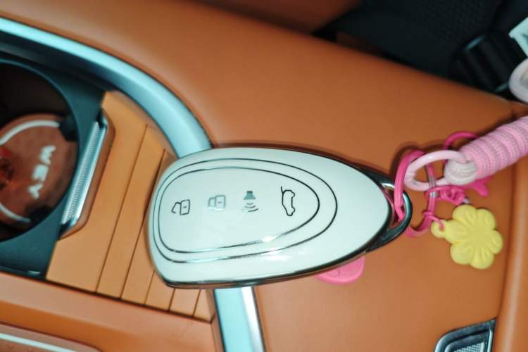 Used Wey Lanshan 2023 Four-Wheel Drive Ultra-Long Range Version
