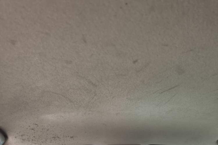 Used Toyota Prado  Headliner