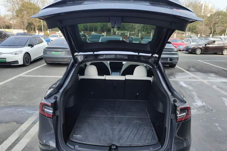 Used Tesla Model Y 2021 Long-Range All-Wheel-Drive Version
