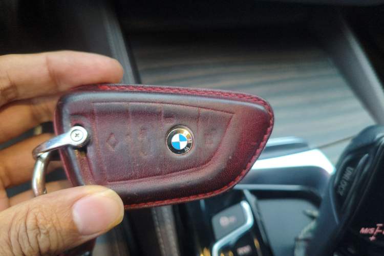 Used BMW 5 Series New Energy 2019 530Le Luxury Package
