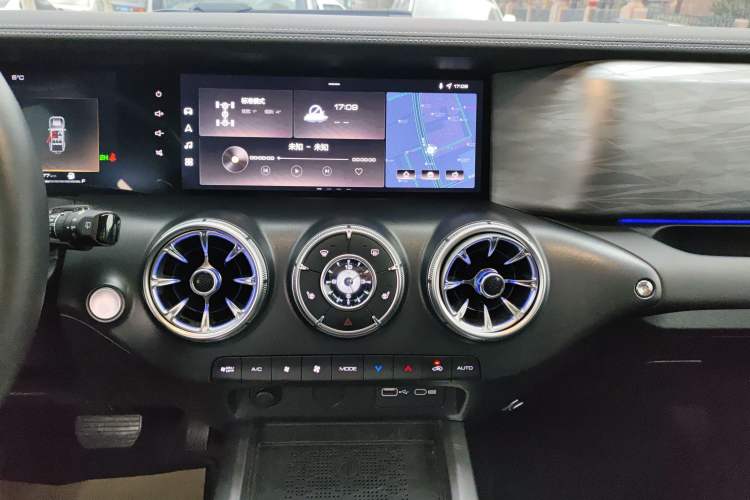 Used Tank 300 2024 2.0T Conqueror
