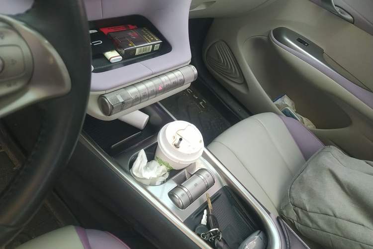 Used BYD Dolphin 2021 405 km Free Version
