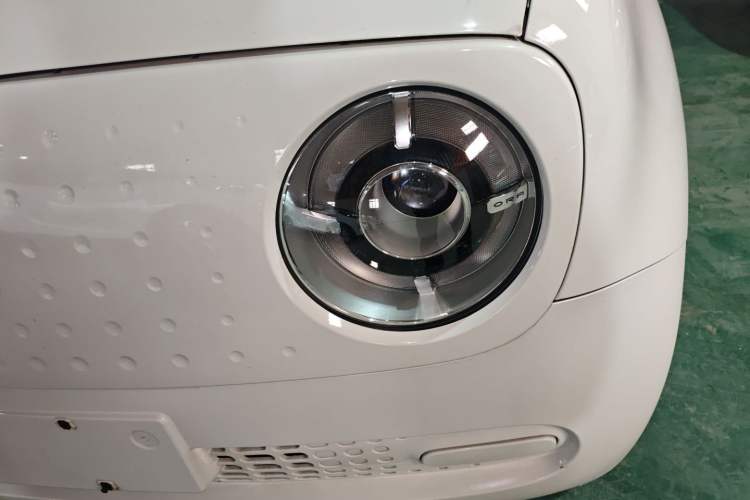 Used ORA Black Cat 2019 301km Standard Edition