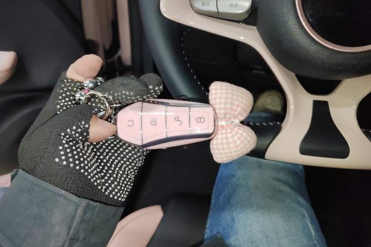 Used BYD Seagull 2025 405 km Flying Edition
