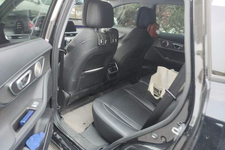 Used Chery Tiggo 8 PRO 2025 290T Two-Wheel-Drive Luxury Edition Left Rear Seat