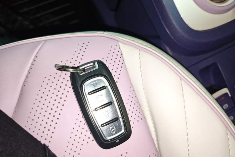 Used Chery Little Ant 2022 Revised Version Sweet Pink Edition Half-Sugar Version Lithium Iron Phosphate 30.7 kWh 30 kW 301 km Vehicle Key