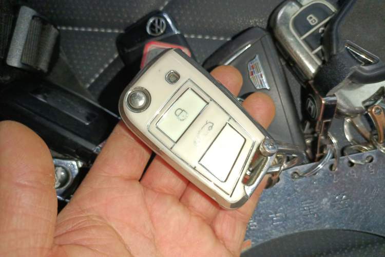 Used Volkswagen Tiguan L 2023 330TSI Automatic Two-Wheel Drive R-Line Enjoyment Edition