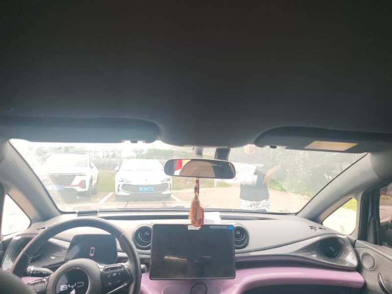 Used BYD Dolphin 2024 Honor Edition 420km Freedom Version — 14