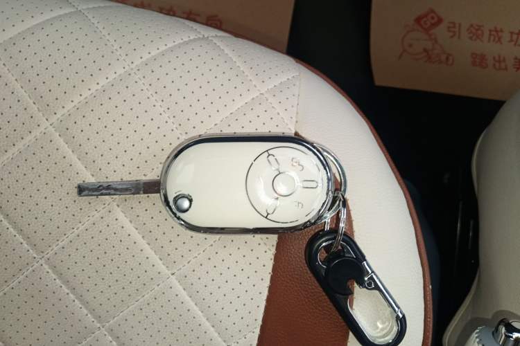 Used Bestune Pony 2025 222km Range Agile Horse
