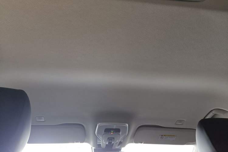Used Hongqi HQ9 2023 2.0T Smart Connect Flagship Edition Headliner
