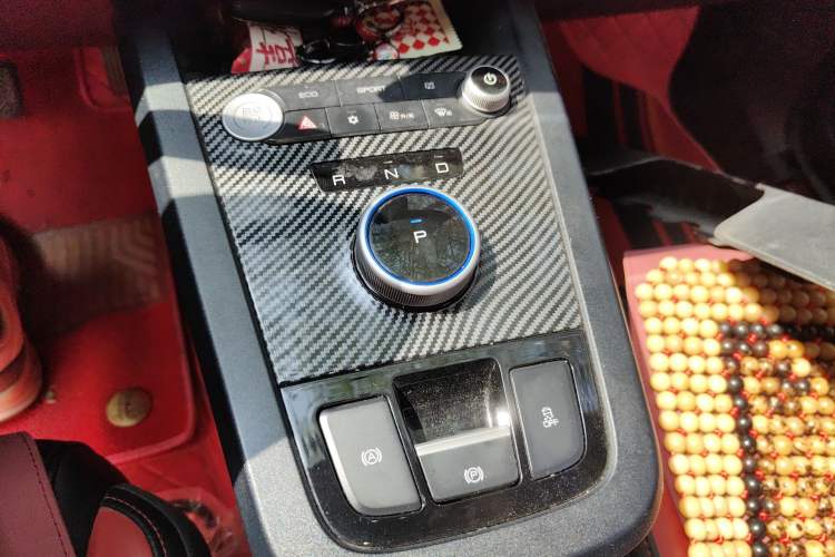 Used BYD e2 2020 Upgraded Version Long-Range Edition Luxury Model Gear Lever