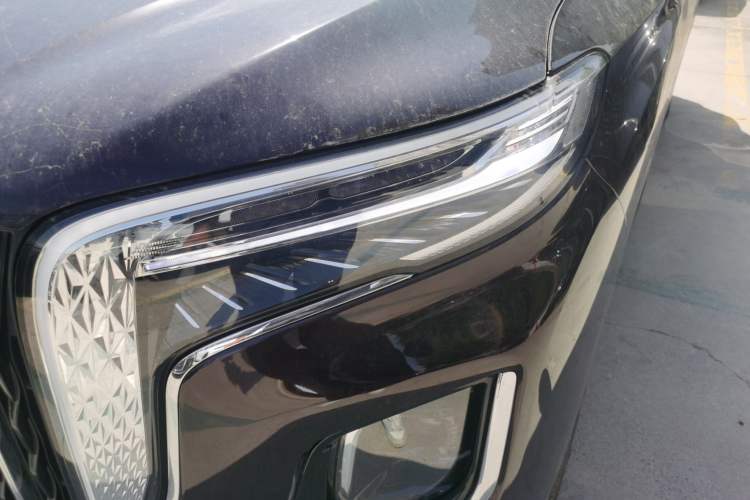 Used Hongqi HQ9 PHEV 2024 2.0T Four-Wheel Drive Business Edition
