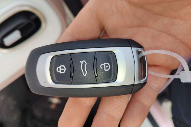 Used Geely Galaxy Panda 2025 210 km – Yuanqi Bear