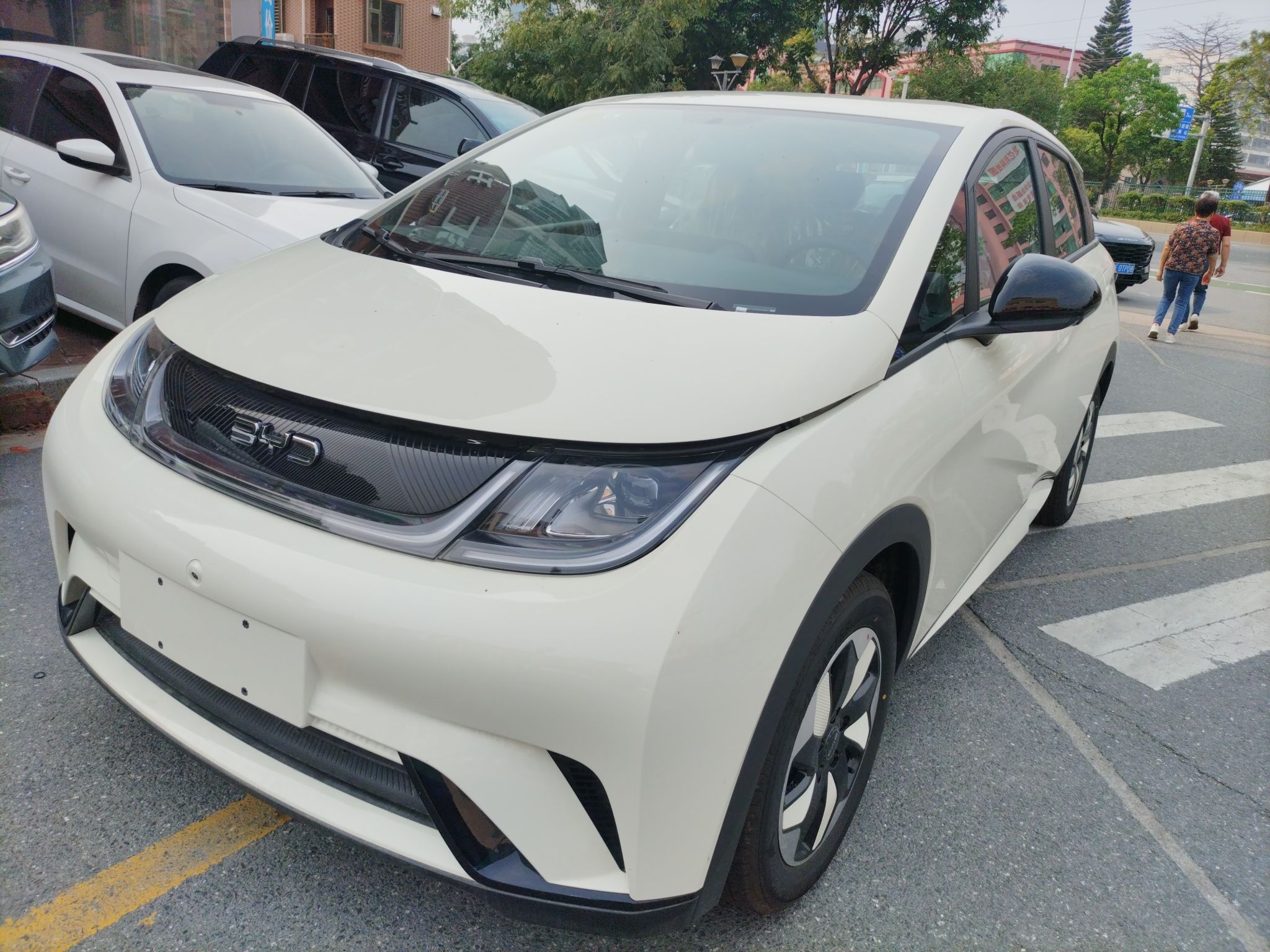 Parte inferior delantera