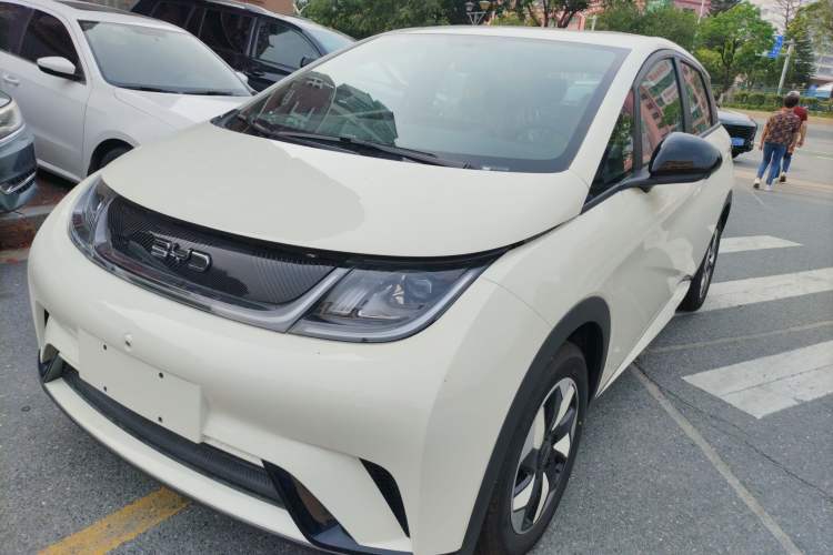 Used BYD Dolphin 2025 420km Free Edition