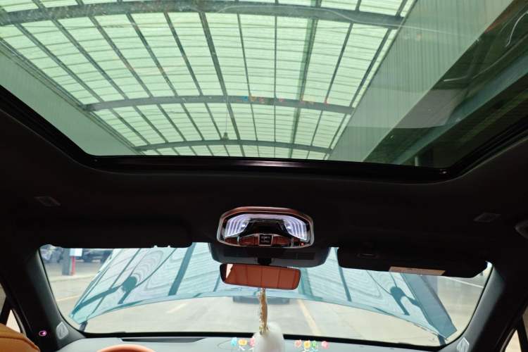 Used Wey Lanshan 2023 Four-Wheel Drive Ultra-Long Range Version
