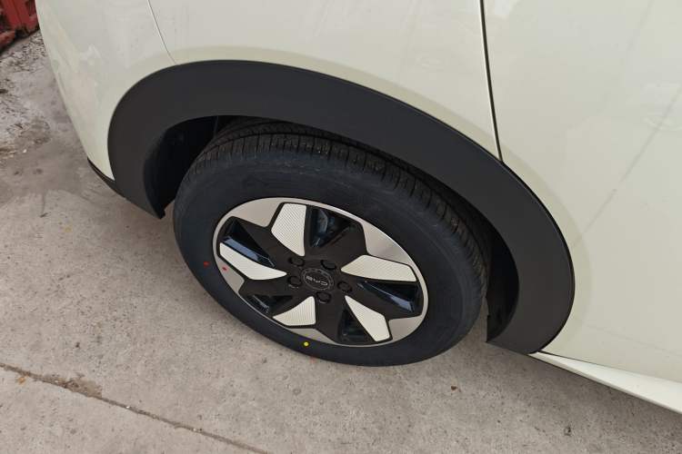 Used BYD Dolphin 2025 420km Free Edition
