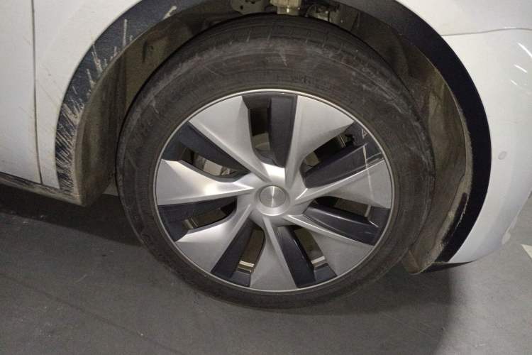 Used Tesla Model Y 2021 Standard Range Rear-Wheel Drive Version
