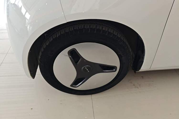 Used ORA White Cat 2020 360 km Luxury Version
