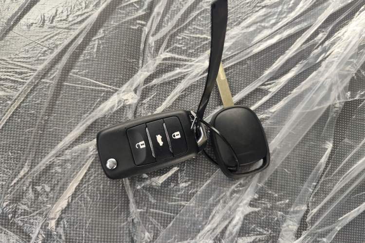 Used Qiyuan Lumin 2024 130km Qingyue Version
