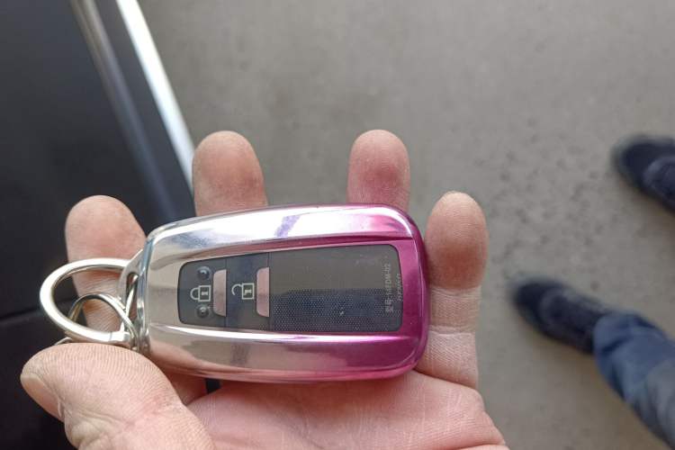 Used Toyota Wildlander 2022 2.0L CVT Two-Wheel Drive Luxury Edition
