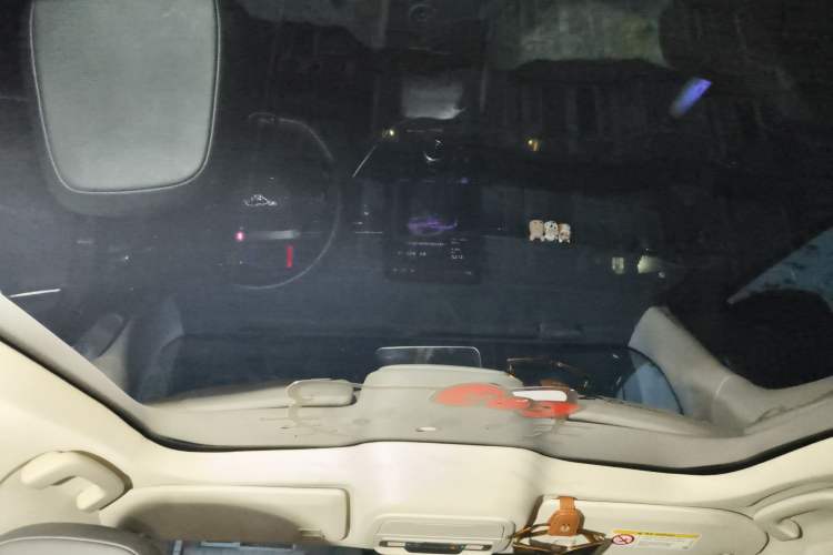 Used Ford Mustang Mach-E 2021 AION Y Plus Rear-Drive Luxury Edition (Long Range)
