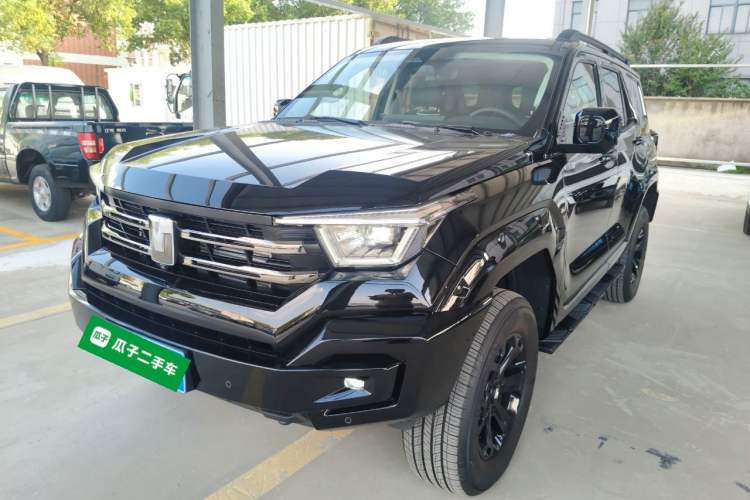 Used Tank 400 2025 2.0T Gasoline Version