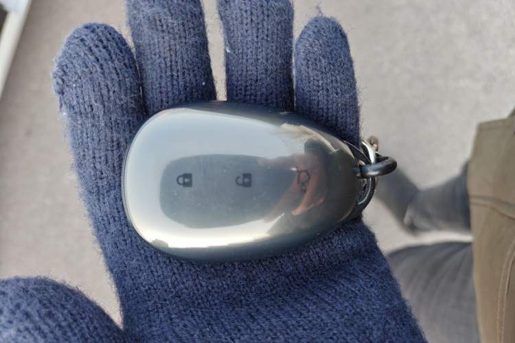 Used Qiyuan A07 2025 Blue Whale Range-Extending Version 230 Flagship Model