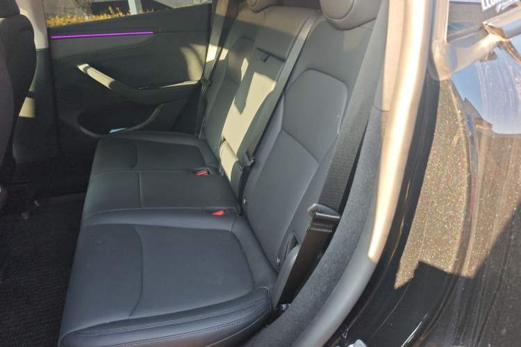 Used Tesla Model Y 2025 Long-Range All-Wheel-Drive Version Left Rear Seat